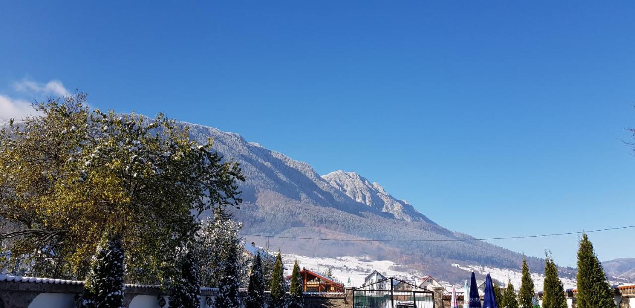 Pensiunea Casa Zarnesteana Zărneşti エクステリア 写真