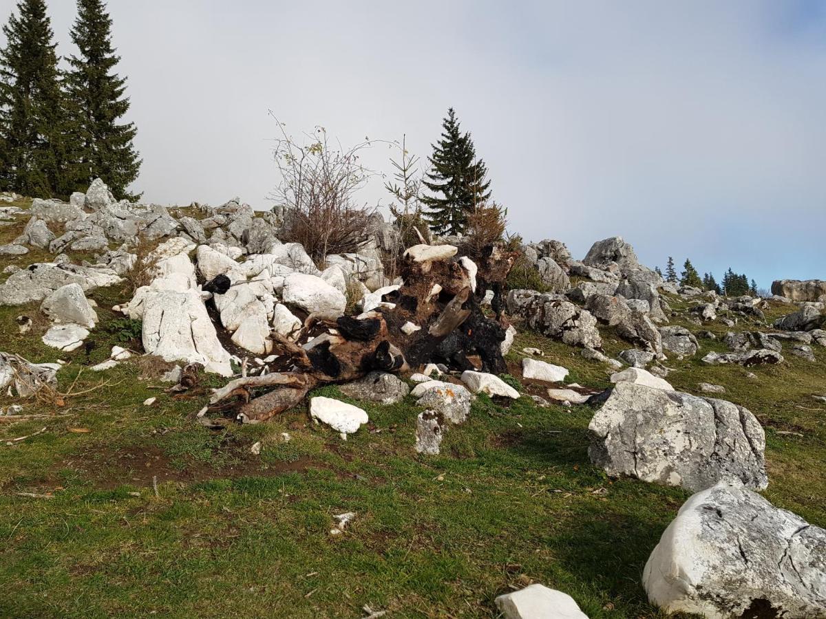 Pensiunea Casa Zarnesteana Zărneşti エクステリア 写真