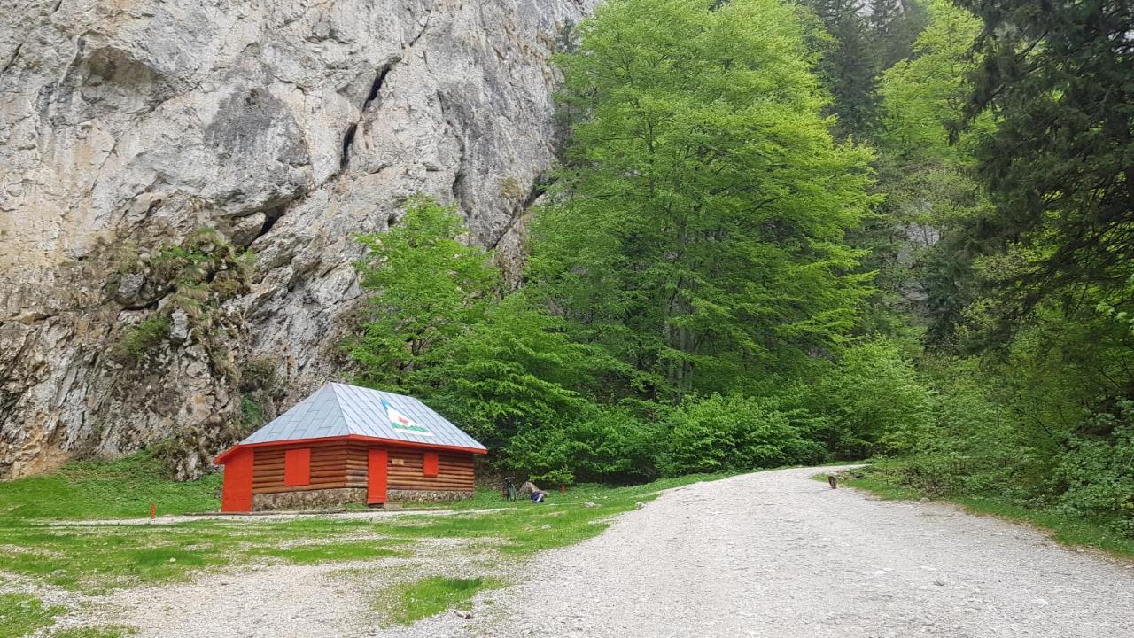 Pensiunea Casa Zarnesteana Zărneşti エクステリア 写真