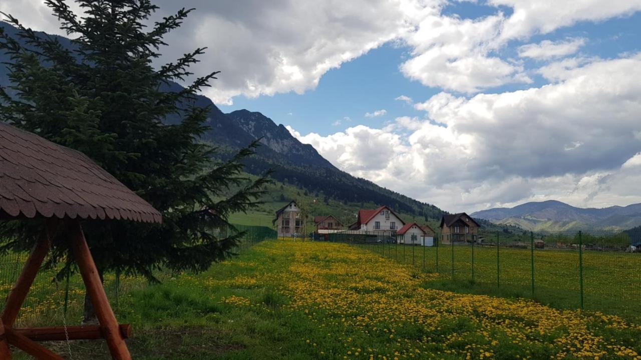 Pensiunea Casa Zarnesteana Zărneşti エクステリア 写真