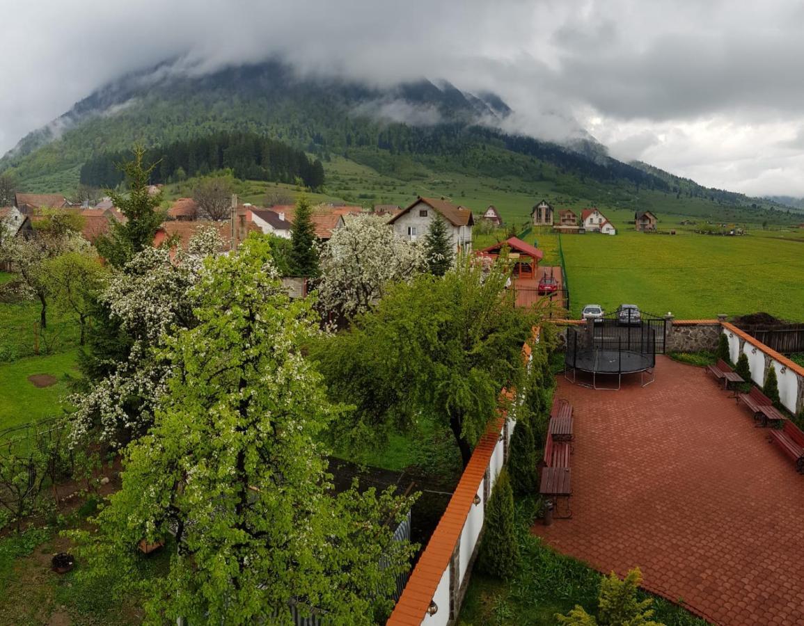 Pensiunea Casa Zarnesteana Zărneşti エクステリア 写真